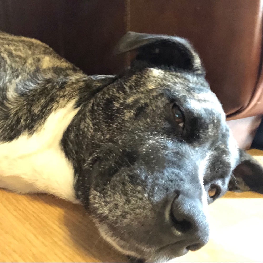 Meet your Posher, Dawn